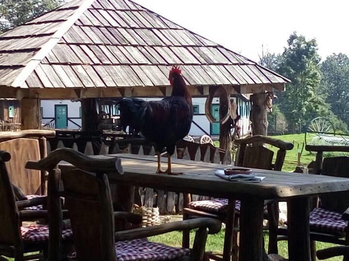 Farm Stay Cardaklije Kulen Vakuf Kültér fotó